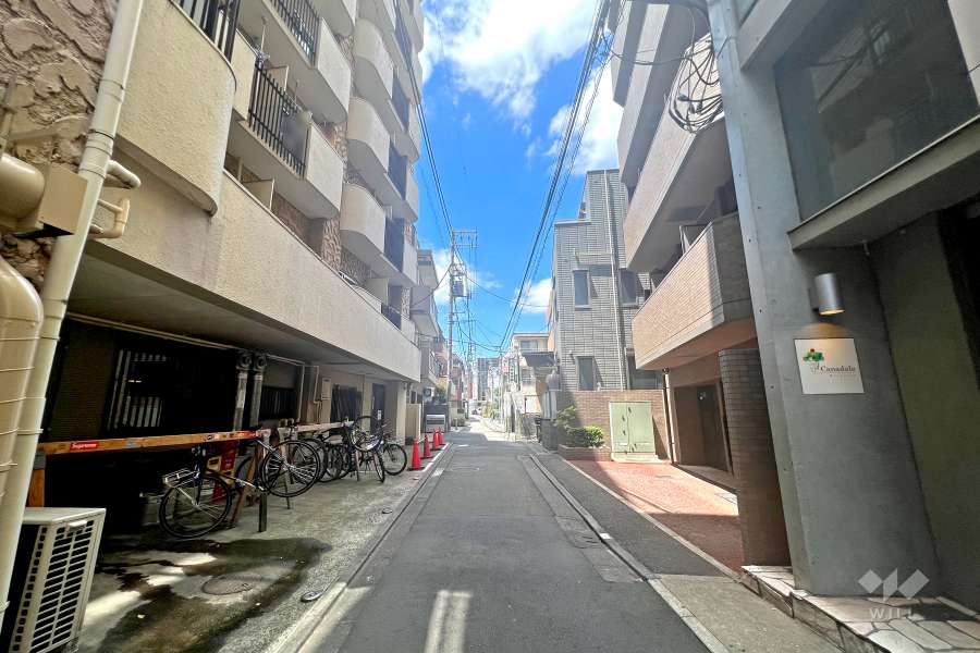 敷地東側の前面道路（南側から）