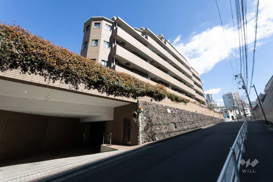 外観写真（南西側から）