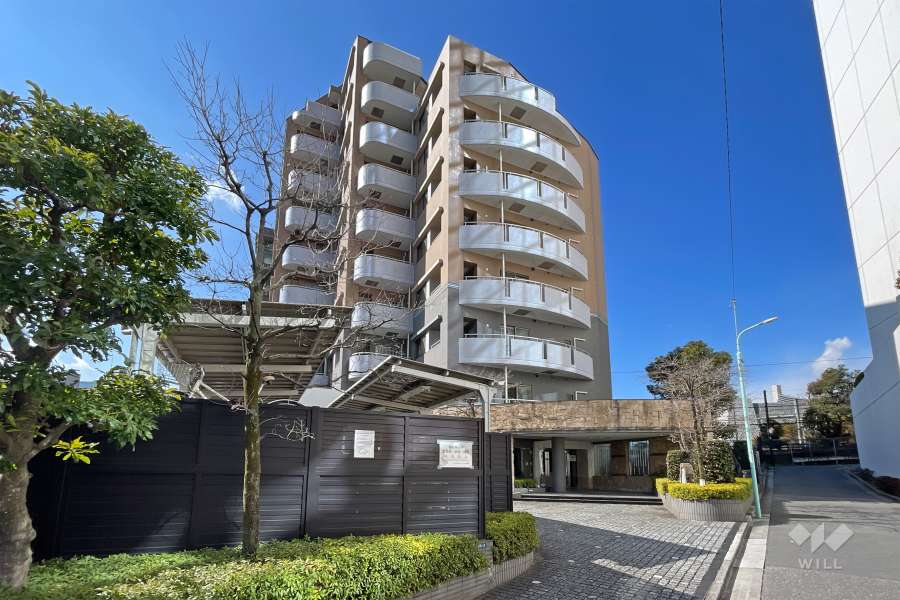 エクセル原宿グレイスコートの外観（東側から）