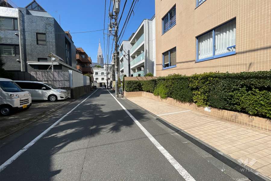 敷地南西側の前面道路(南東側から)