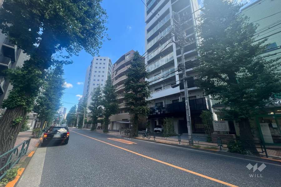 敷地西側の前面道路