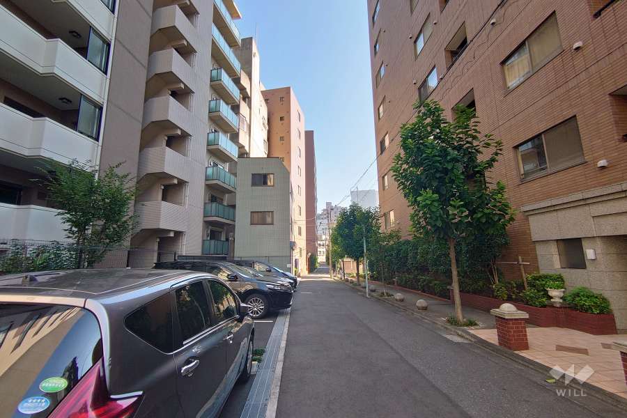 敷地南西側の前面道路（北西側から）