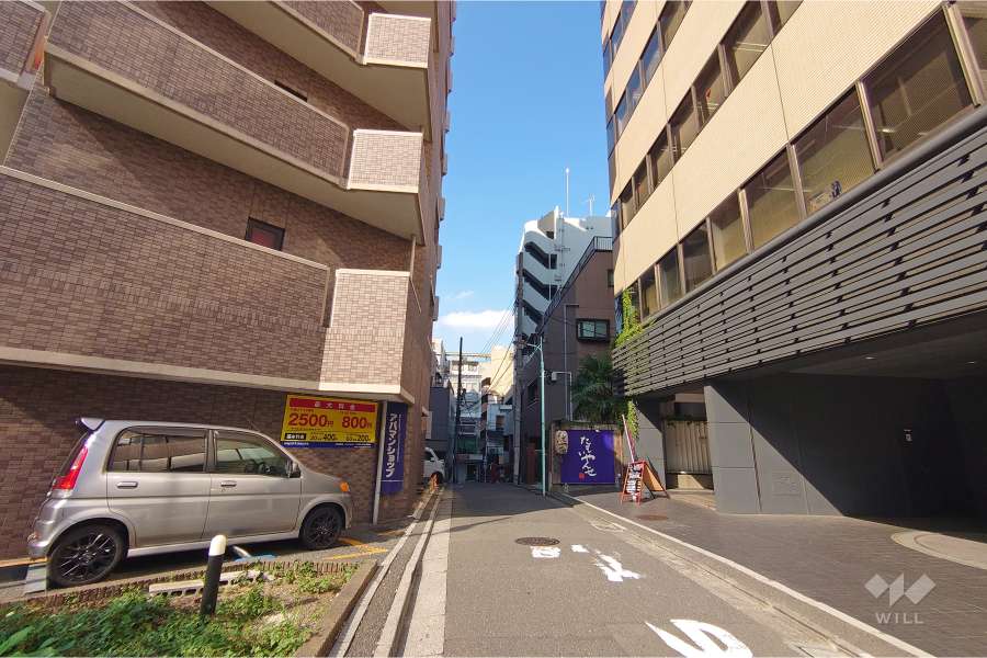 敷地南東側の前面道路（南西側から）