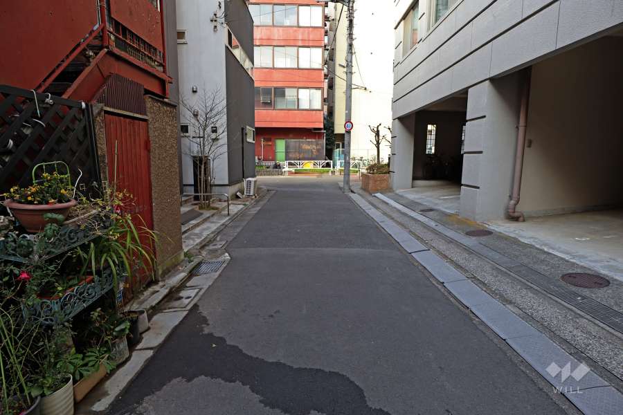敷地西側の前面道路（南側から）