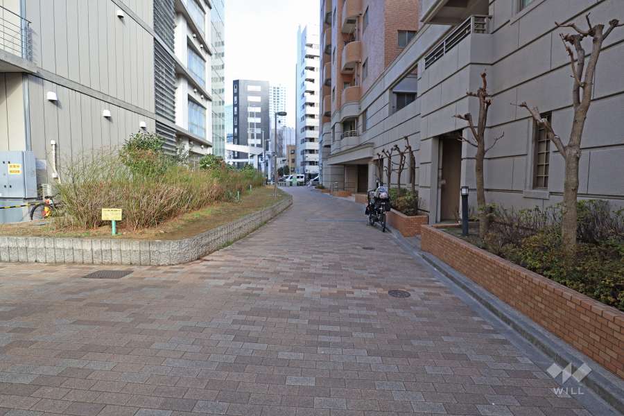 敷地北側の前面道路（西側から）