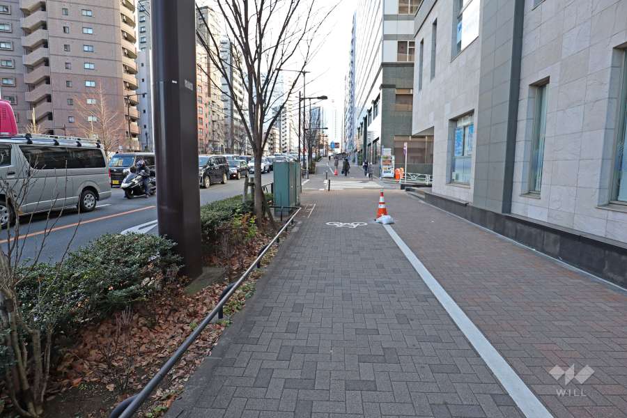 敷地東側の前面道路（北側から）