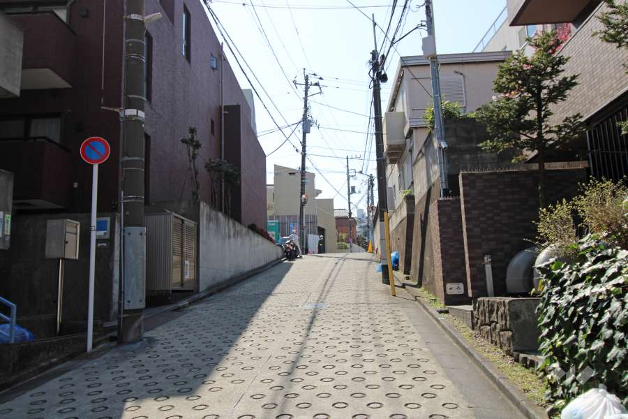 敷地東側の前面道路（北側から）