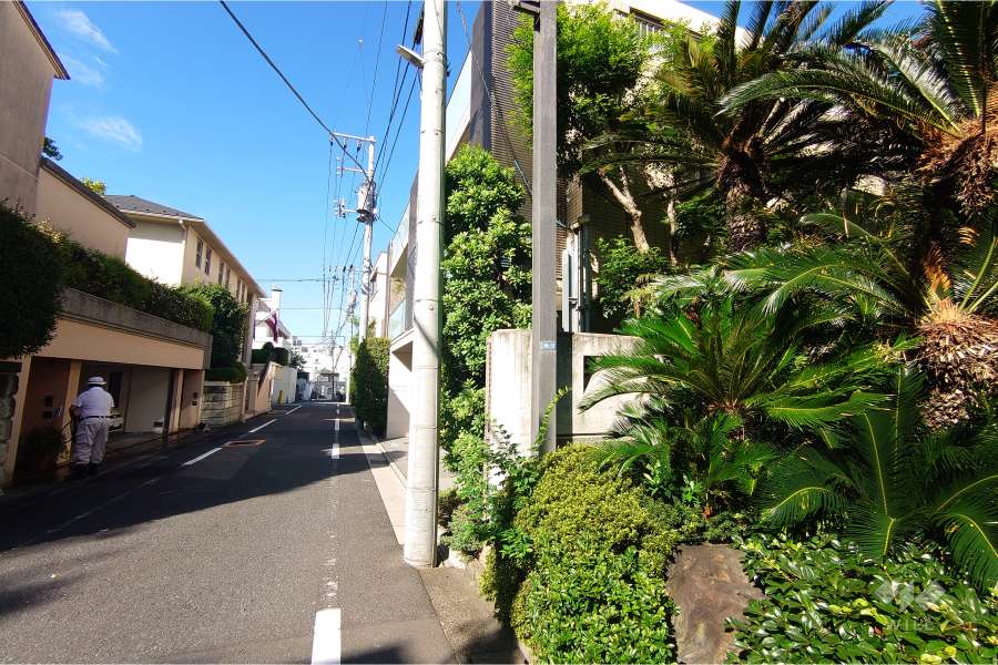 敷地南西側の前面道路（北東側から）