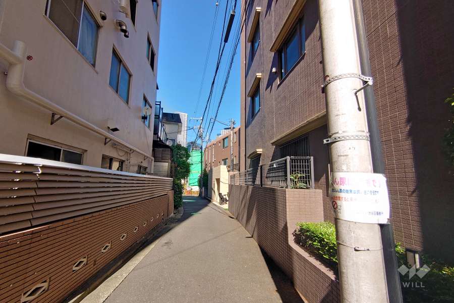 敷地北側の前面道路（西側から）