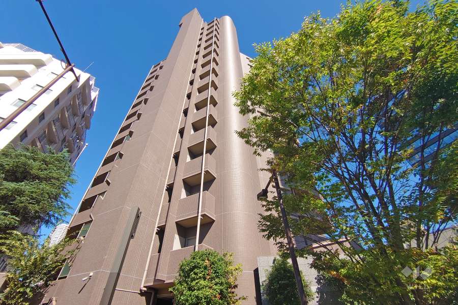 ディオレ西新宿の外観（西側から）