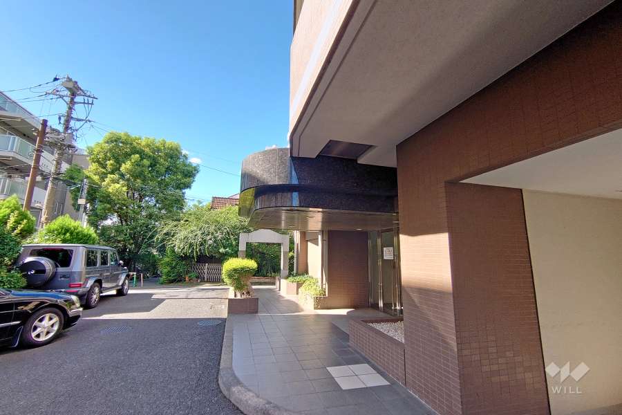 敷地西側の前面道路（南側から）