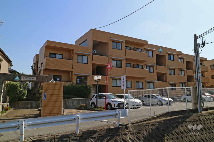 サーパス逆瀬川の外観（北東側から）