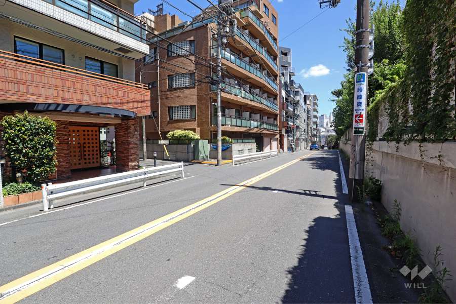 敷地の南側前面道路（西側から）