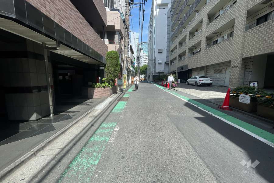 敷地南東側の前面道路（南西側から）