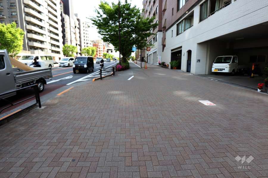 敷地東側の前面道路（北側から）