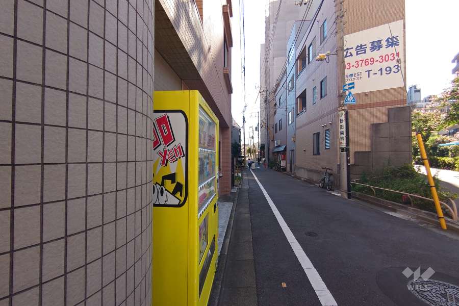 敷地北西側の前面道路（北東側から）