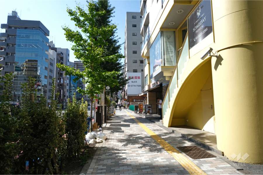 敷地南東側の前面道路（北東側から）