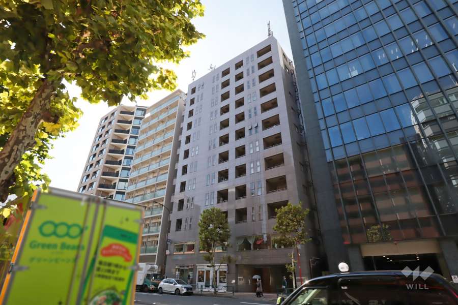 サンパティーク広尾の外観写真(北東側から)