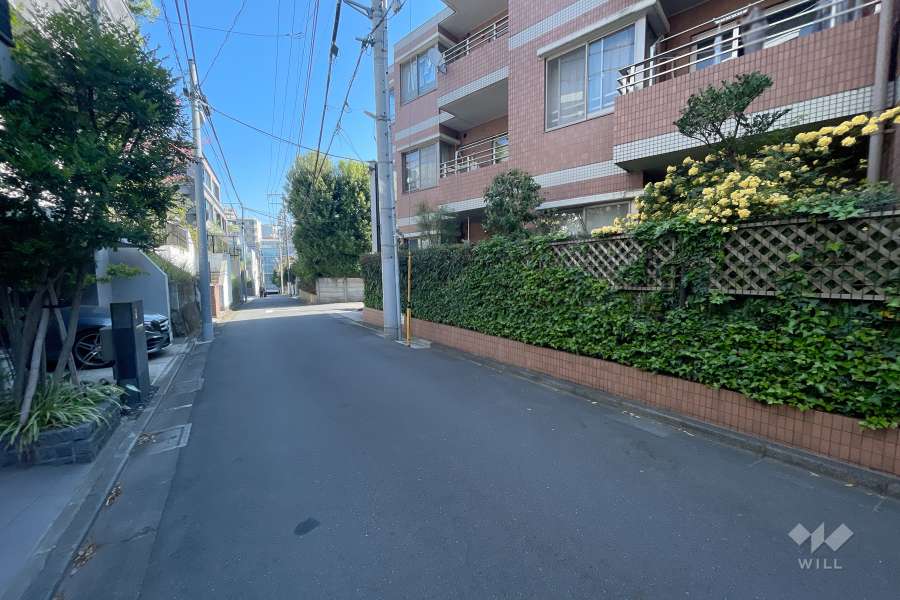 敷地北西側の前面道路（南西側から）