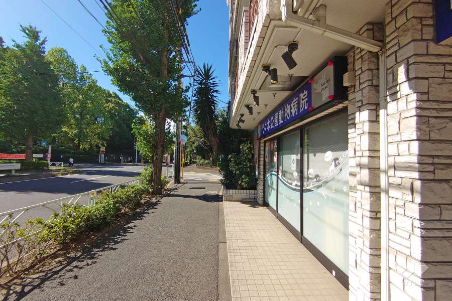 敷地東側の前面道路（北側から）