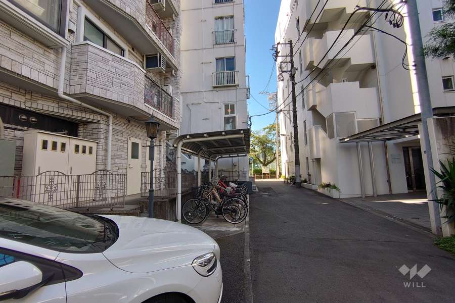 敷地西側の前面道路（北側から）