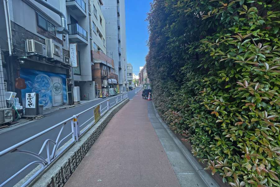 敷地南西側の前面道路（南東側から）