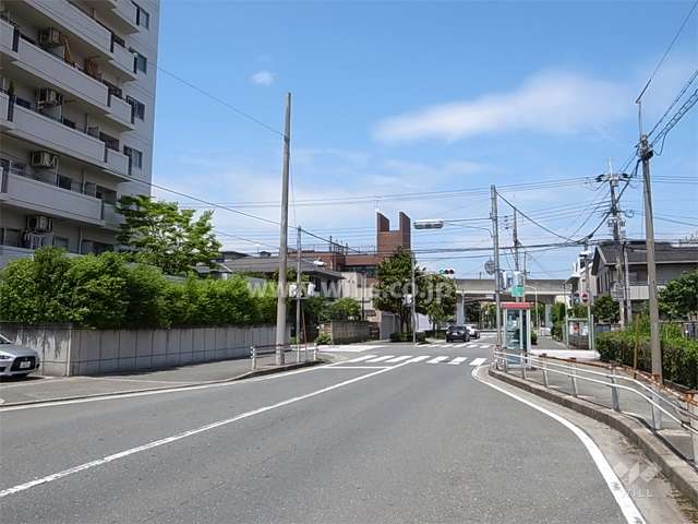 敷地南東側の前面道路。バス通りです。