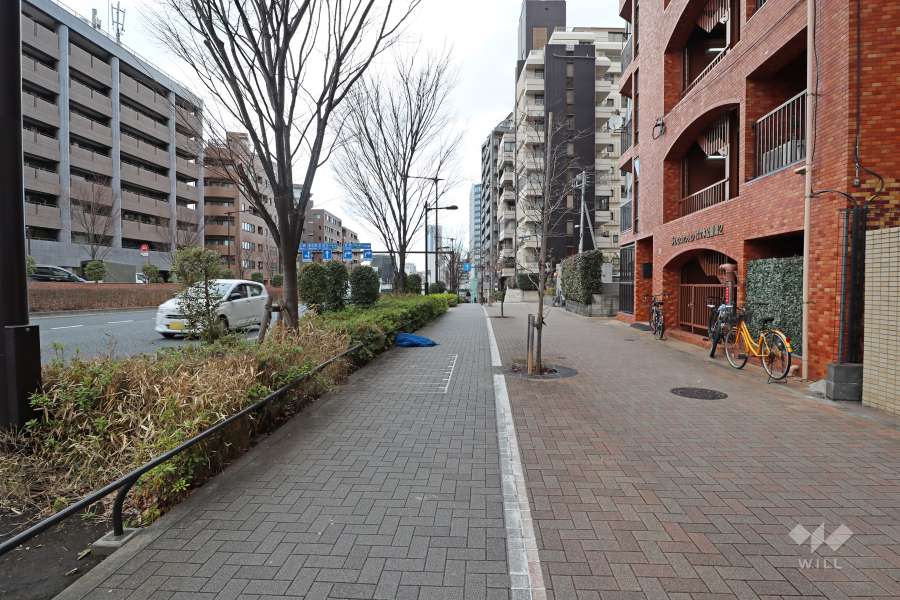 敷地北西側の前面道路