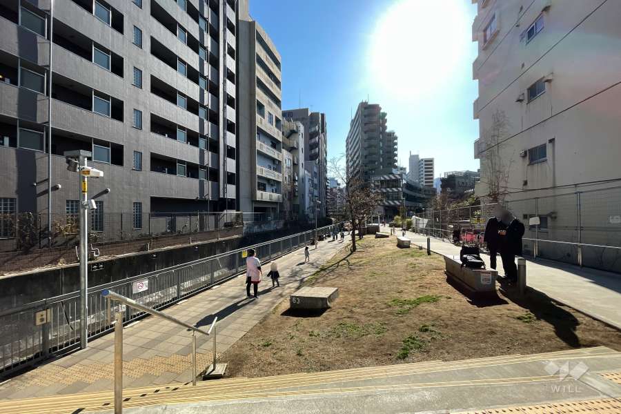 マンション近くの公園