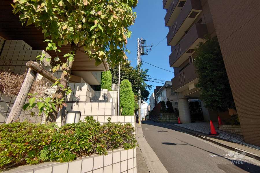 敷地南側の前面道路（西側から）