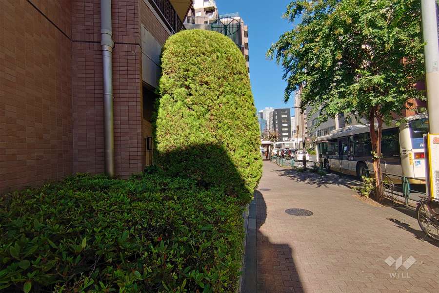 敷地南東側の前面道路（南西側から）