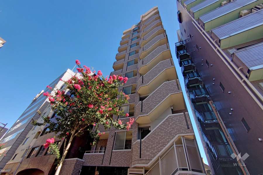 アイディーコート新宿西ディアナの外観（北西側から）