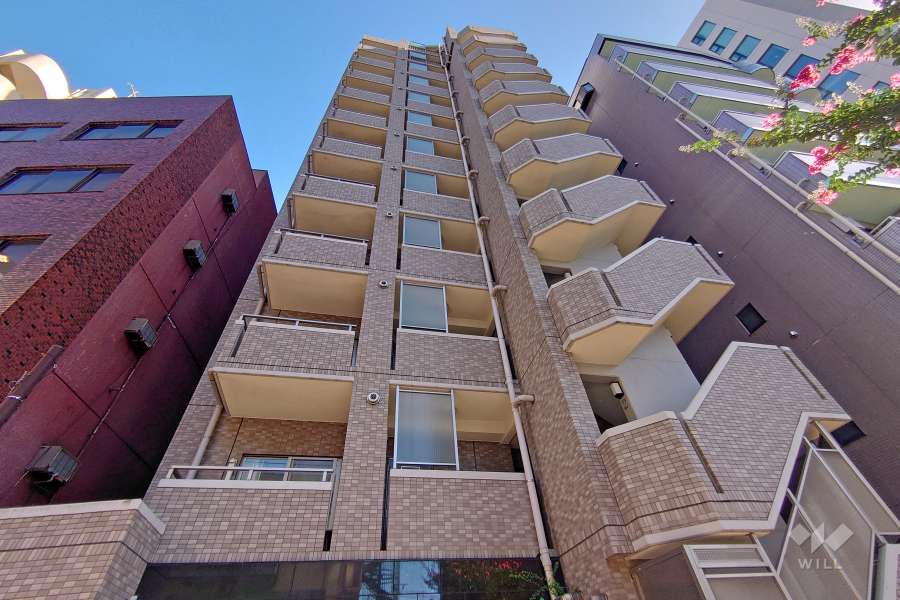 アイディーコート新宿西ディアナの外観（北側から）