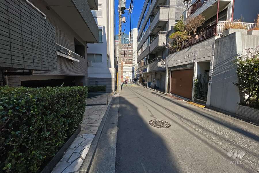 敷地南西側の前面道路（南東側から）