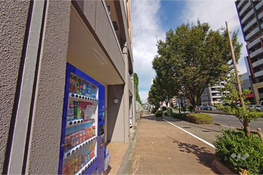 敷地北東側の前面道路（南東側から）