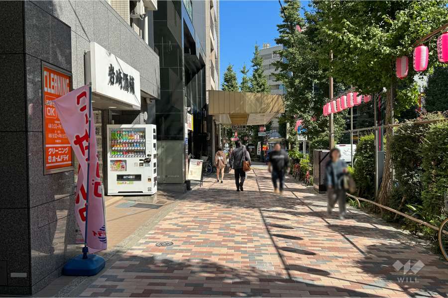 敷地南東側の前面道路（南西側から）