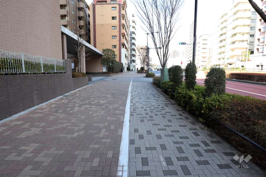 敷地東側の前面道路