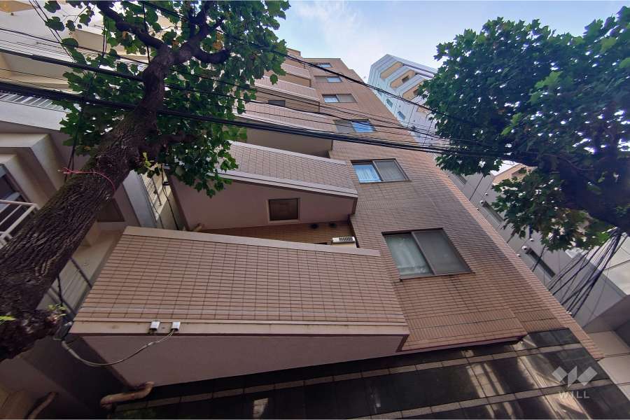 パレステュディオ渋谷イーストの外観（北西側から）