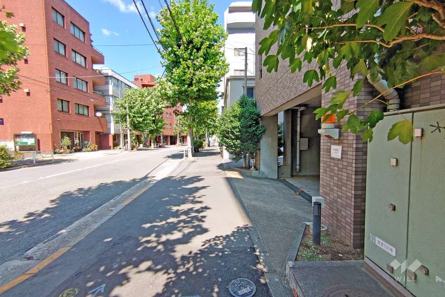 敷地北側の前面道路（西側から）