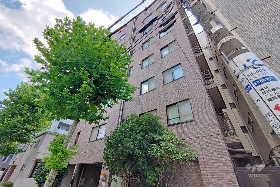 ザパームス代々木三丁目の外観（北東側から）