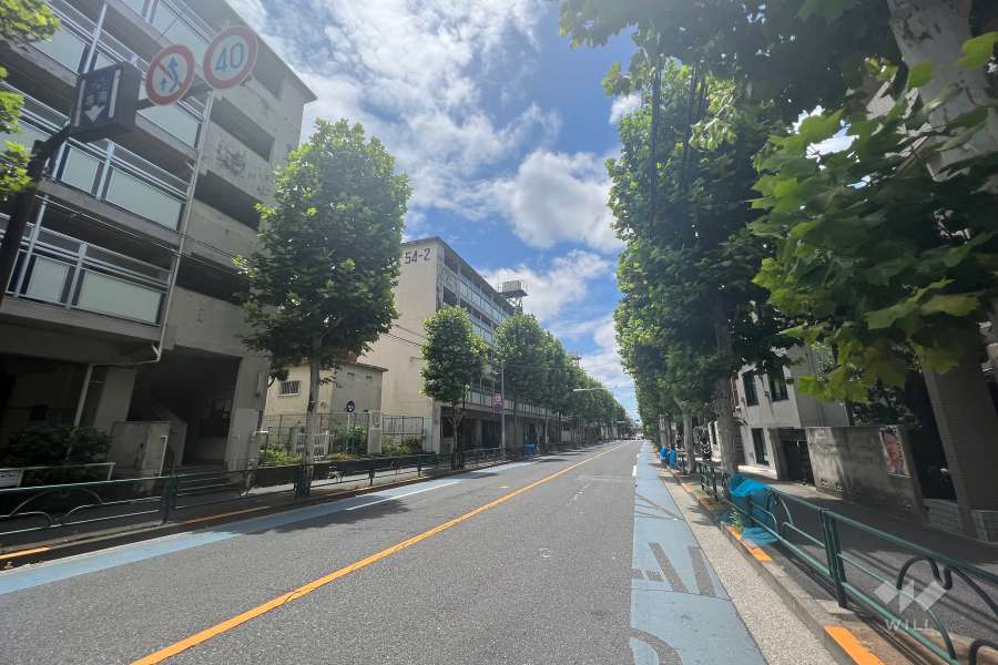 敷地南東側の前面道路