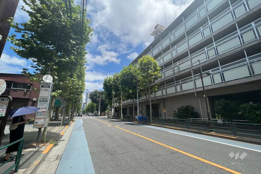 敷地南東側の前面道路