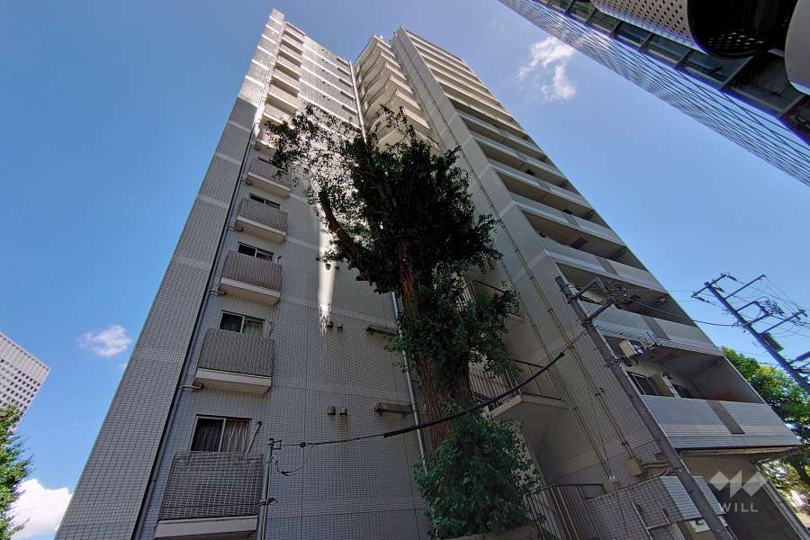 カテリーナ代々木プレイスの外観（南西側から）