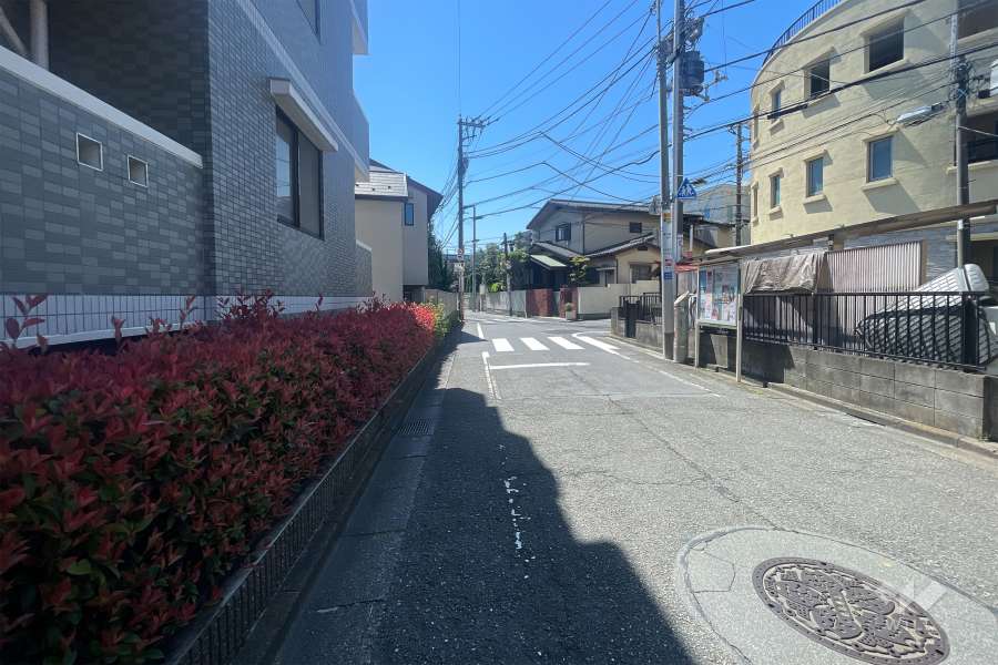 敷地北西側の前面道路（北東側から）