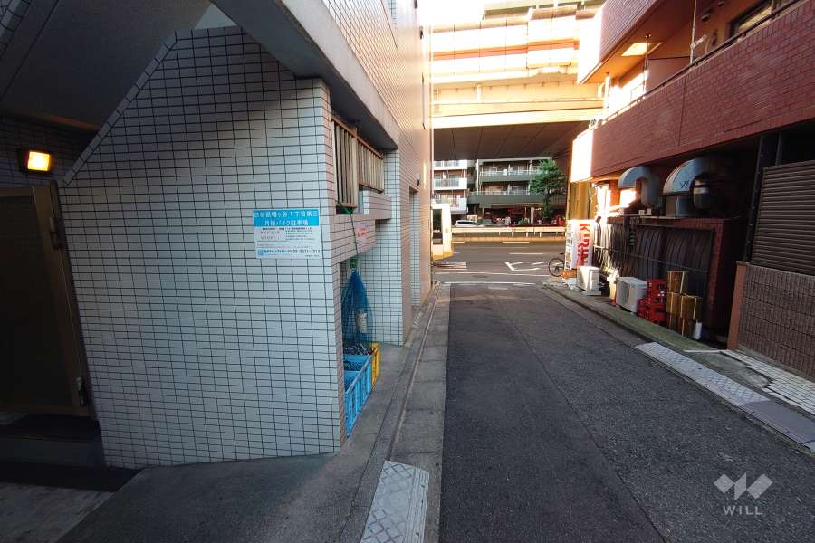 敷地北東側の前面道路（南東側から）