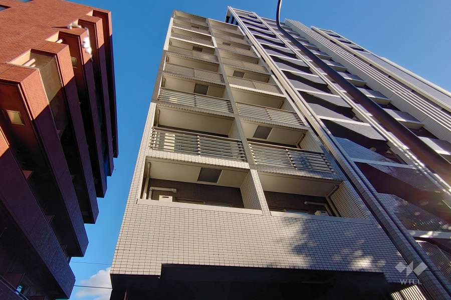 シンシアフォーディ幡ヶ谷の外観（北東側から