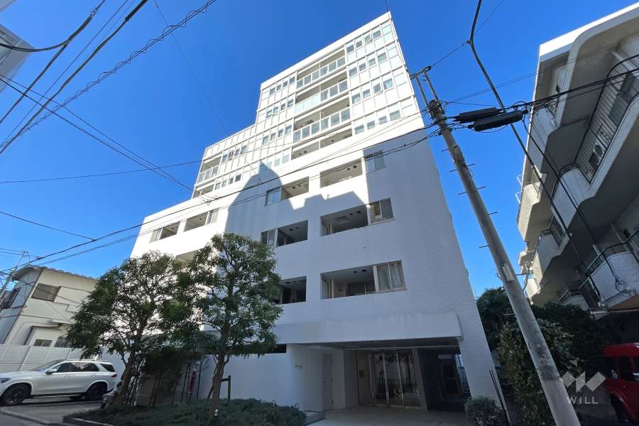 マンションの外観（南東側から）