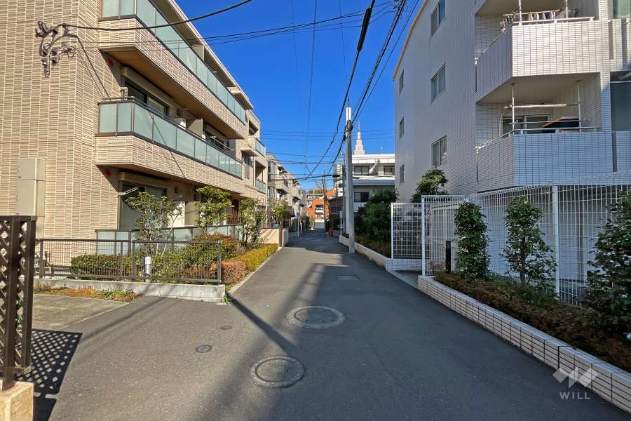 敷地北側の前面道路（西側から）