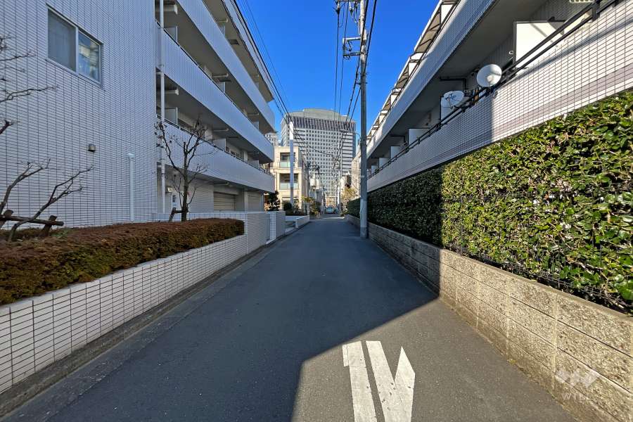 敷地東側の前面道路（南側から）