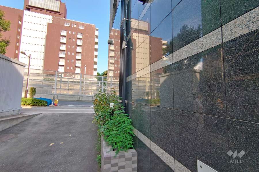 敷地北側の前面道路（西側から）